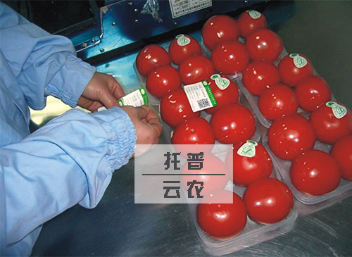 新疆特色林果产品质量安全监管平台